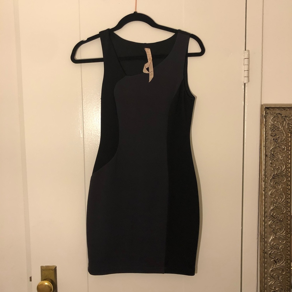 Bailey44 black and gray fitted dress